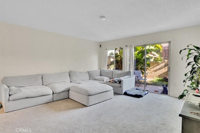 2212 Grant Ave, Redondo Beach, CA 90278 - view of carpeted living area