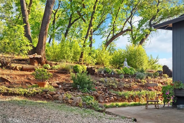 814 Natures Way, Paradise, CA 95969 - view of yard featuring a patio area