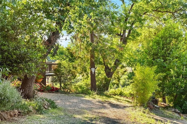 814 Natures Way, Paradise, CA 95969 - view of yard
