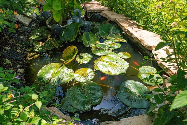 12800 N Overlook Dr, Rancho Cucamonga, CA 91739 - exterior view of a garden pond