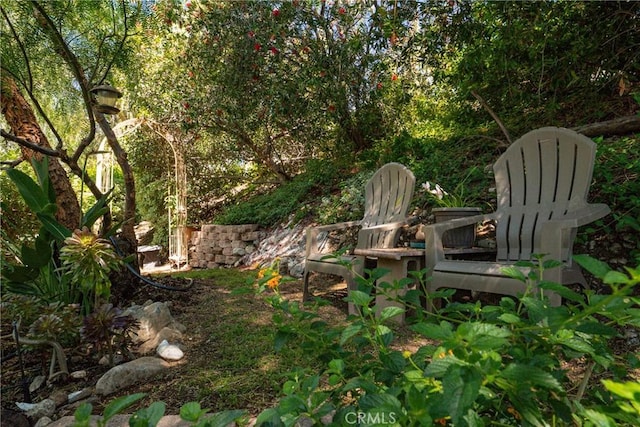 12800 N Overlook Dr, Rancho Cucamonga, CA 91739 - view of yard