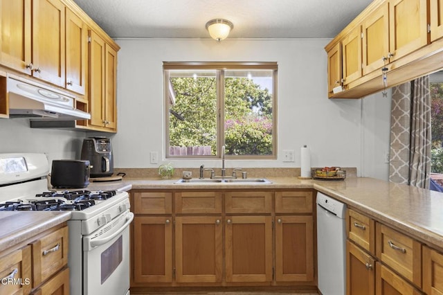1025 Cachuma Ave Unit 32, Ventura, CA 93004 - kitchen with white appliances, a sink, under cabinet range hood, and light countertops