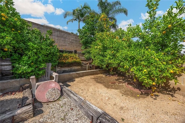 419 Clairmont Ave, Placentia, CA 92870 - view of yard