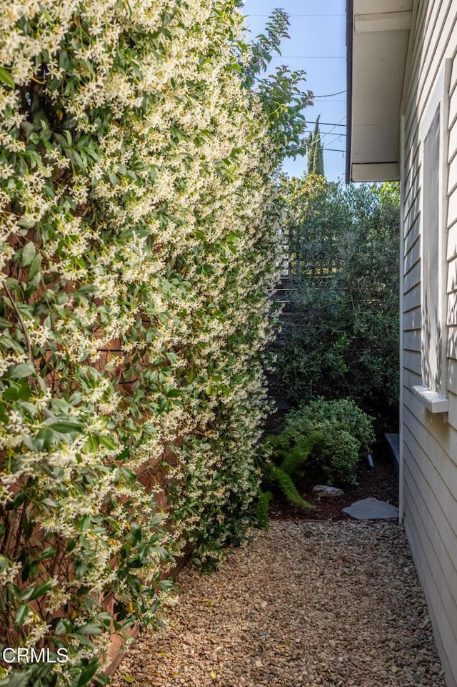 4865 Granada St, Los Angeles, CA 90042 - view of yard