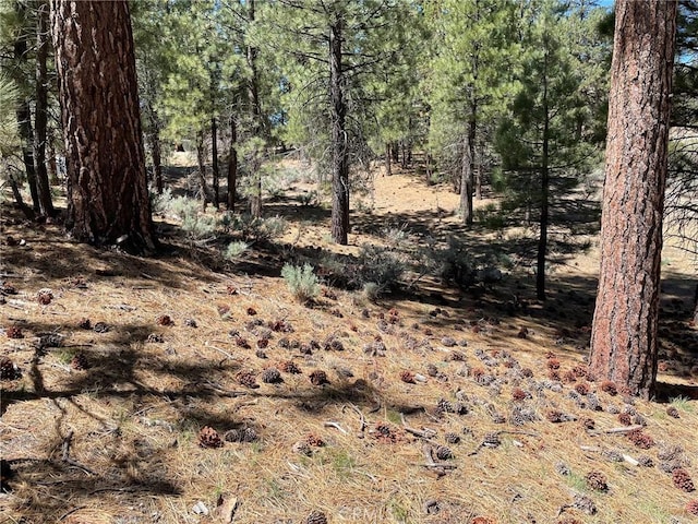 320 Starvation Flats Rd, Big Bear Lake, CA 92315 - view of local wilderness