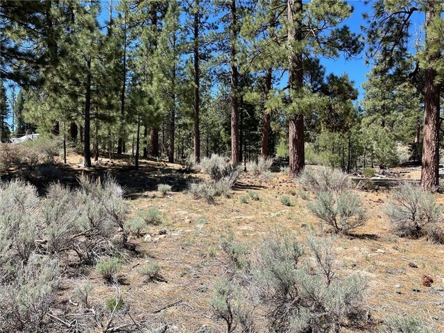 320 Starvation Flats Rd, Big Bear Lake, CA 92315 - view of undeveloped land