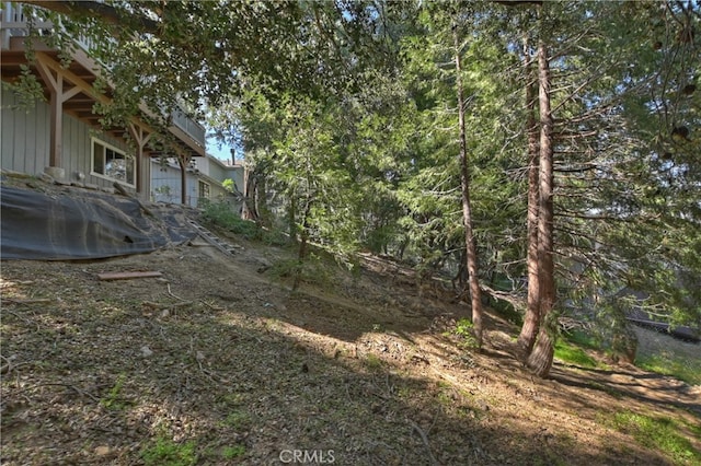 197 Weisshorn Dr, Crestline, CA 92325 - view of yard
