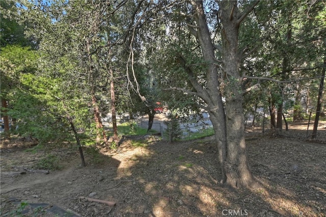 197 Weisshorn Dr, Crestline, CA 92325 - view of local wilderness