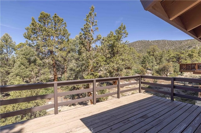 1095 Mount Verdi Rd, Big Bear City, CA 92314 - photo 20