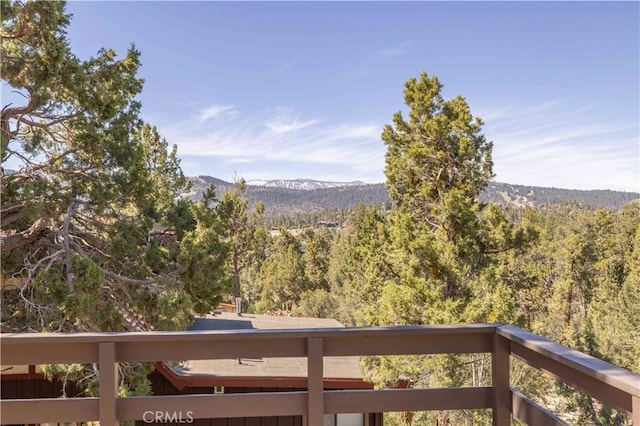 1095 Mount Verdi Rd, Big Bear City, CA 92314 - photo 19