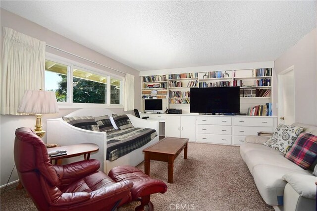 4510 Triste Pl, Tarzana, CA 91356 - carpeted living area featuring a textured ceiling