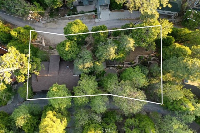 217 Crest Cir, Lake Arrowhead, CA 92352 - view of property location featuring property boundaries highlighted