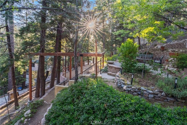 217 Crest Cir, Lake Arrowhead, CA 92352 - view of yard