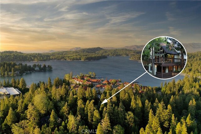 217 Crest Cir, Lake Arrowhead, CA 92352 - water view featuring a heavily wooded area