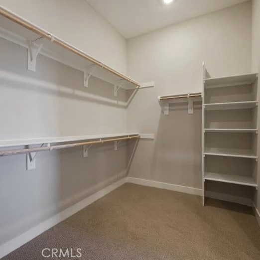 27225 Cranmore Way Unit 302, Valencia, CA 91381 - spacious closet with carpet