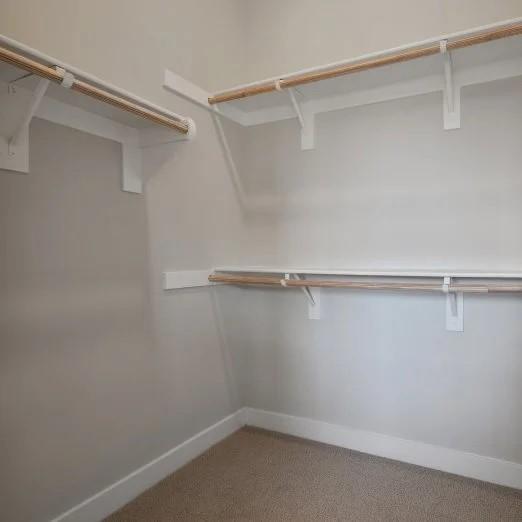 27225 Cranmore Way Unit 302, Valencia, CA 91381 - spacious closet with carpet
