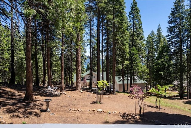 720 E Mountain Ridge Rd, Lake Almanor, CA 96137 - view of yard