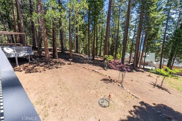 720 E Mountain Ridge Rd, Lake Almanor, CA 96137 - view of yard