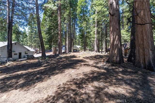 720 E Mountain Ridge Rd, Lake Almanor, CA 96137 - view of yard