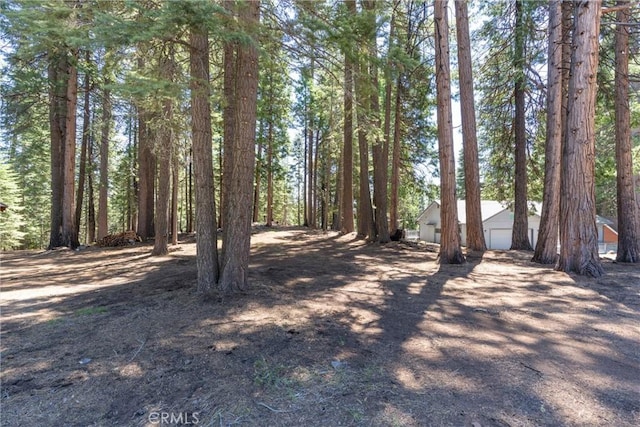 720 E Mountain Ridge Rd, Lake Almanor, CA 96137 - view of yard with a garage