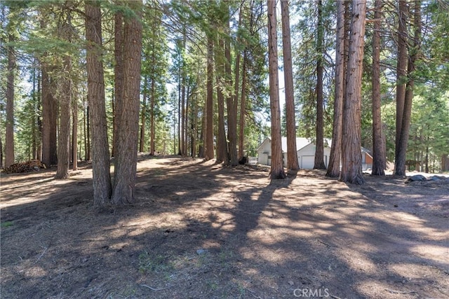 720 E Mountain Ridge Rd, Lake Almanor, CA 96137 - view of yard with an outbuilding