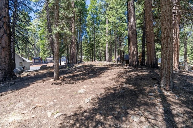 720 E Mountain Ridge Rd, Lake Almanor, CA 96137 - view of yard