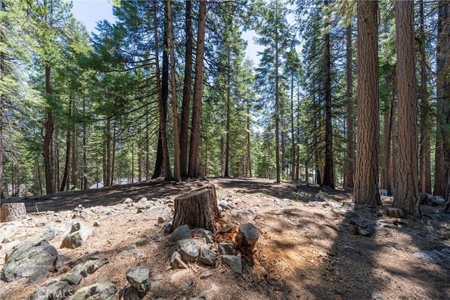 720 E Mountain Ridge Rd, Lake Almanor, CA 96137 - view of woods