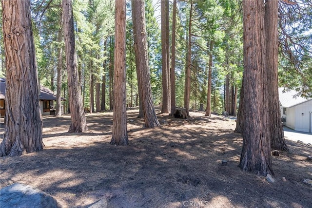 720 E Mountain Ridge Rd, Lake Almanor, CA 96137 - view of yard