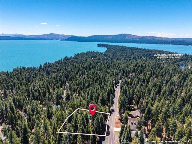 720 E Mountain Ridge Rd, Lake Almanor, CA 96137 - photo 6