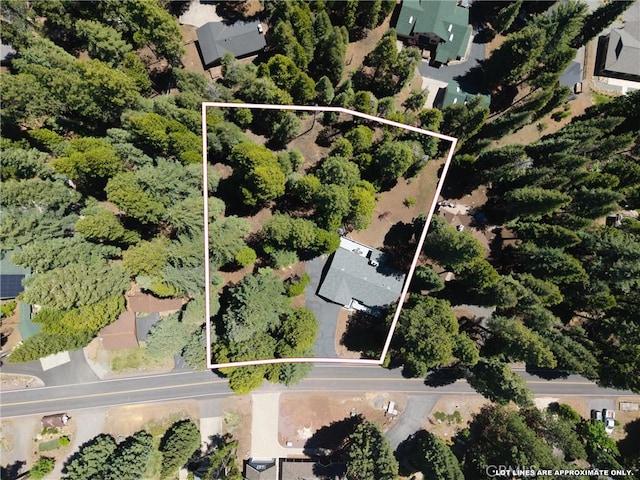 720 E Mountain Ridge Rd, Lake Almanor, CA 96137 - aerial view of property and surrounding area with property boundaries highlighted