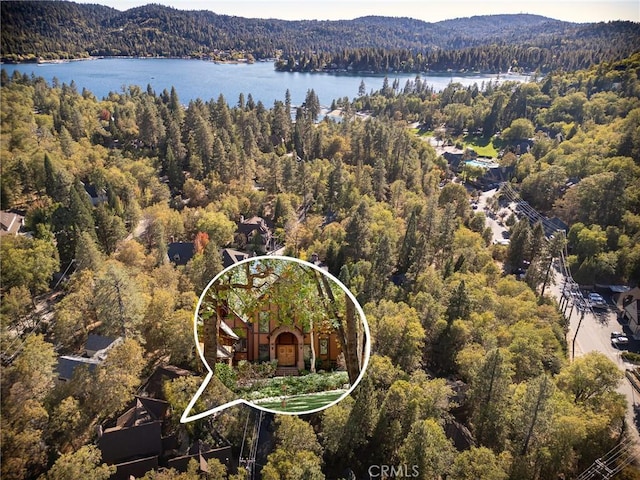 951 Osprey Ln, Lake Arrowhead, CA 92352 - photo 64