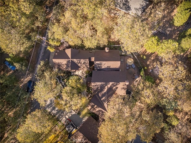 951 Osprey Ln, Lake Arrowhead, CA 92352 - view of property location