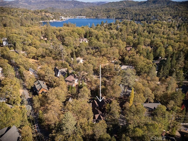 951 Osprey Ln, Lake Arrowhead, CA 92352 - photo 65