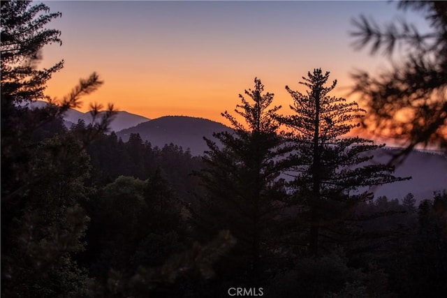 24032 Skyland Dr, Crestline, CA 92325 - photo 19