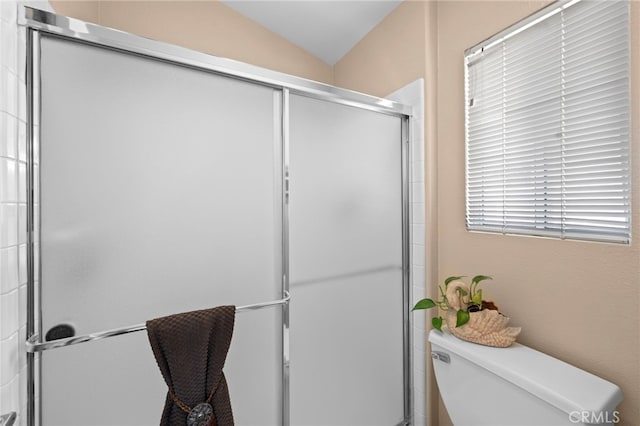23981 Via Astuto, Murrieta, CA 92562 - full bath featuring toilet, an enclosed shower, and lofted ceiling