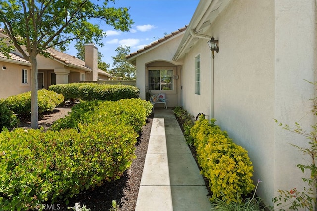 23981 Via Astuto, Murrieta, CA 92562 - view of yard