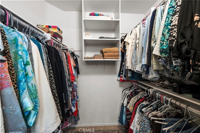 23981 Via Astuto, Murrieta, CA 92562 - view of spacious closet