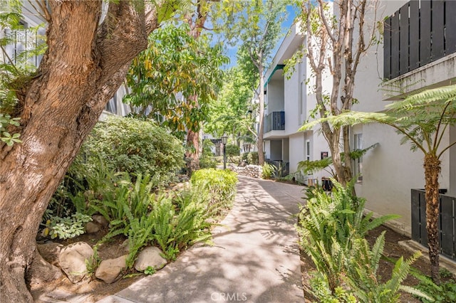 18645 Hatteras St Unit 203, Tarzana, CA 91356 - view of community