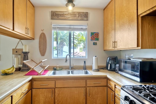 1080 Buena Pl, Carlsbad, CA 92008 - kitchen with a sink, light countertops, and stainless steel microwave