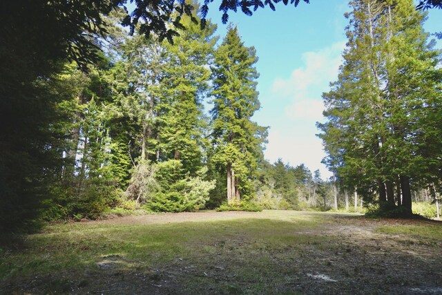 43535 Comptche Ukiah Rd, Mendocino, CA 95460 - photo 5
