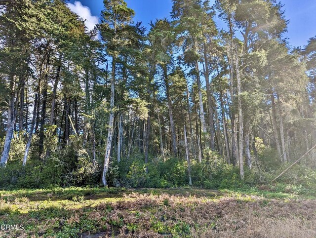 43535 Comptche Ukiah Rd, Mendocino, CA 95460 - photo 16