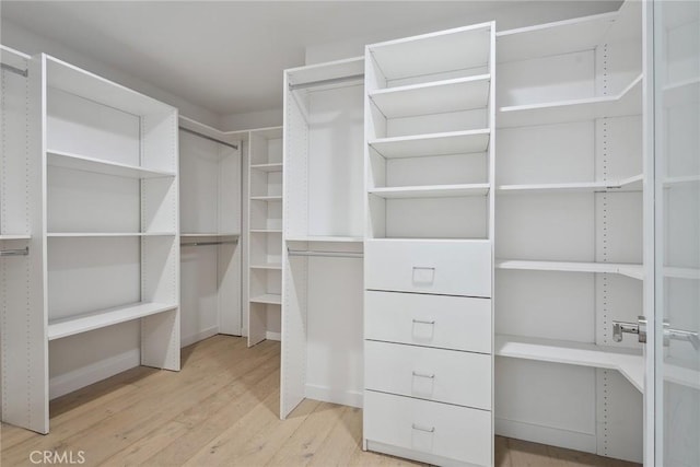 1746 Garfield Pl Unit 101, Los Angeles, CA 90028 - walk in closet with light wood-style floors