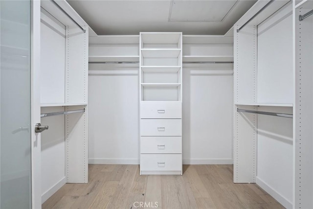 1746 Garfield Pl Unit 203, Los Angeles, CA 90028 - walk in closet with light wood-type flooring and attic access