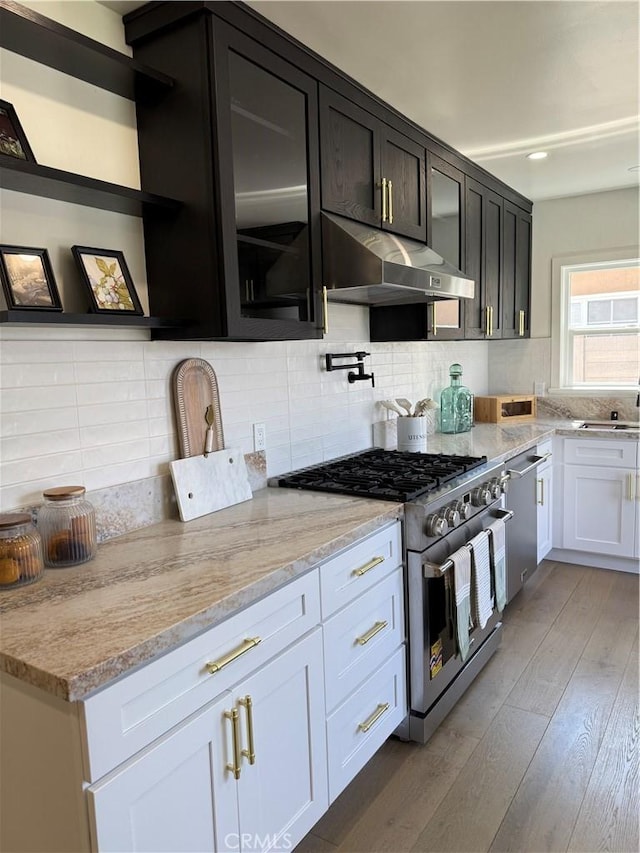 16913 Covello St, Van Nuys, CA 91406 - kitchen with appliances with stainless steel finishes, under cabinet range hood, open shelves, decorative backsplash, and light stone counters