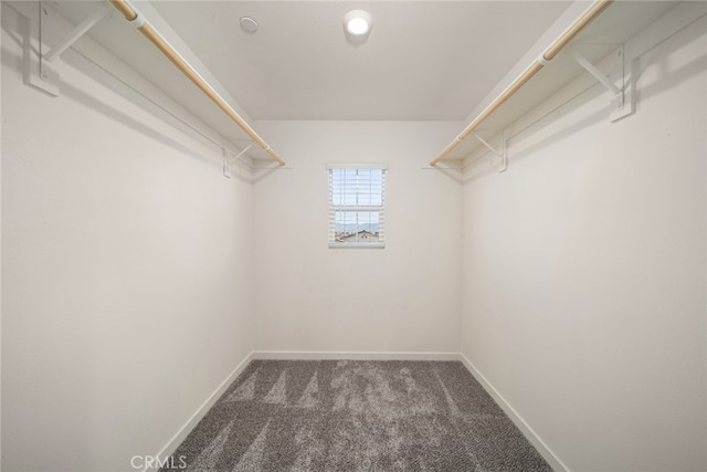 42499 Aruba Ct, Indio, CA 92201 - walk in closet with dark colored carpet