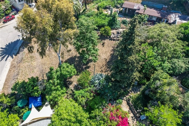 3233 N Future St, Los Angeles, CA 90065
