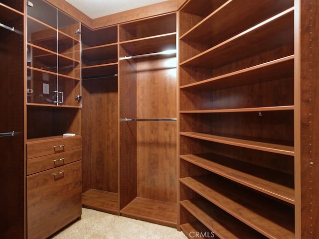 10655 Bruns Dr, Tustin, CA 92782 - walk in closet with carpet