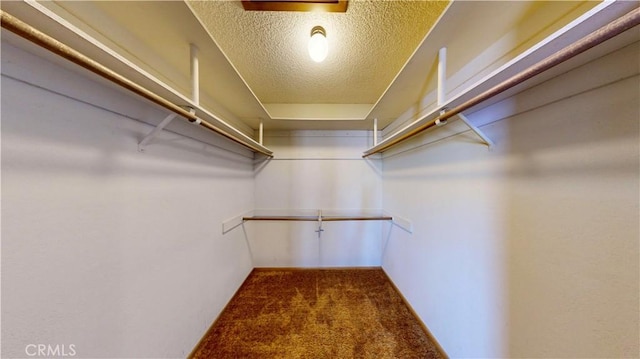 20061 Seneca Rd, Apple Valley, CA 92307 - walk in closet with carpet