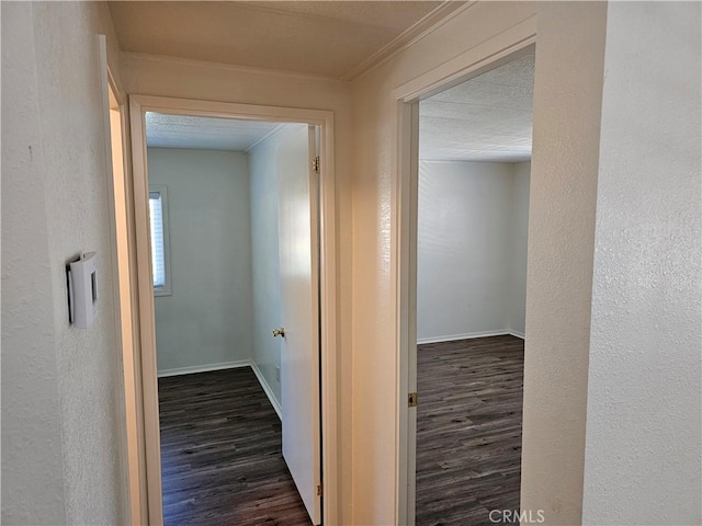2890 7th St, Clearlake, CA 95422 - hall with dark wood finished floors, crown molding, and baseboards