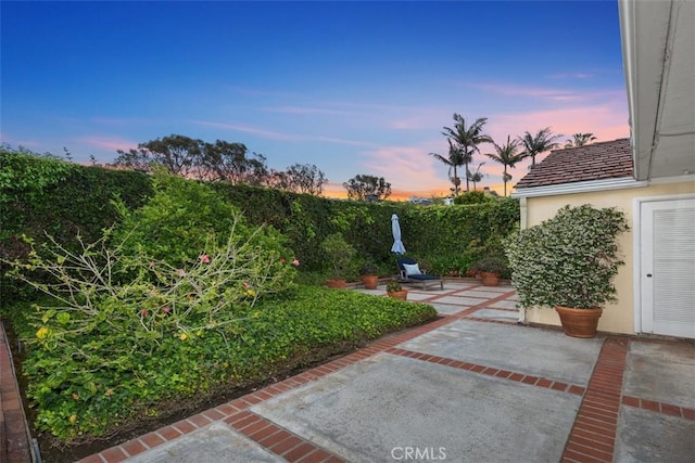 27 S La Senda Dr, Laguna Beach, CA 92651 - view of yard with a patio area